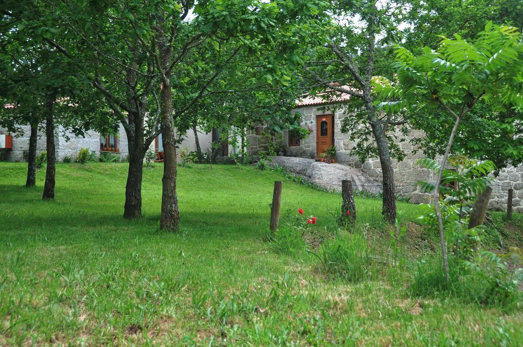 Bed and Breakfast Casas Vale Martinho Santa Comba Dao Exterior foto